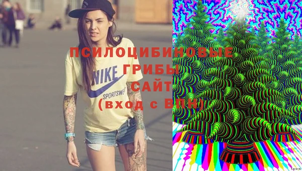 дурь Вязники