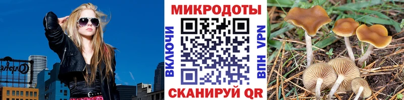 Купить где Куртамыш Галлюциногенные грибы прущие грибы