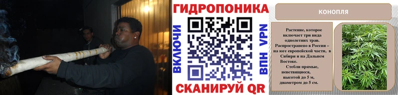 Шишки марихуана гибрид  Купить закладки  Куртамыш 